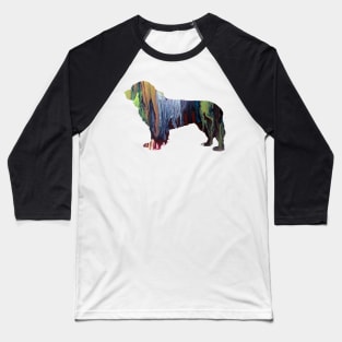 Newfoundland Dog Baseball T-Shirt